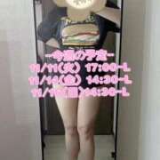 ヒメ日記 2025/11/10 13:38 投稿 もえか ぽっちゃり巨乳素人専門店ぷにめろ西船橋店