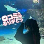 ヒメ日記 2025/11/13 10:58 投稿 もえか ぽっちゃり巨乳素人専門店ぷにめろ西船橋店