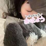 ヒメ日記 2025/12/29 14:28 投稿 もえか ぽっちゃり巨乳素人専門店ぷにめろ西船橋店