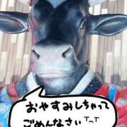 ヒメ日記 2026/01/21 12:58 投稿 もえか ぽっちゃり巨乳素人専門店ぷにめろ西船橋店