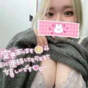 ヒメ日記 2025/11/29 12:52 投稿 えり ぽっちゃり巨乳素人専門店ぷにめろ西船橋店