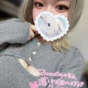 ヒメ日記 2025/12/12 11:38 投稿 えり ぽっちゃり巨乳素人専門店ぷにめろ西船橋店