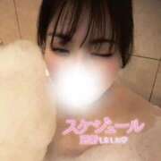 ヒメ日記 2026/07/14 17:38 投稿 れい ぽっちゃり巨乳素人専門店ぷにめろ西船橋店