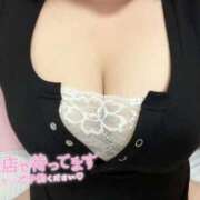 ヒメ日記 2026/08/18 12:58 投稿 れい ぽっちゃり巨乳素人専門店ぷにめろ西船橋店