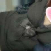 ヒメ日記 2026/02/17 09:48 投稿 このは ぽっちゃり巨乳素人専門店ぷにめろ西船橋店