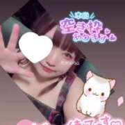 ヒメ日記 2026/04/21 10:48 投稿 このは ぽっちゃり巨乳素人専門店ぷにめろ西船橋店