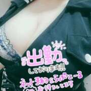 ヒメ日記 2026/02/18 14:42 投稿 ゆかり ぽっちゃり巨乳素人専門店ぷにめろ西船橋店