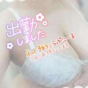 ヒメ日記 2026/09/10 14:08 投稿 ゆかり ぽっちゃり巨乳素人専門店ぷにめろ西船橋店
