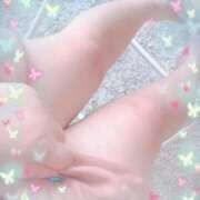 ももか ❤️出勤❤️ ぽっちゃり巨乳素人専門店ぷにめろ西船橋店