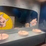 ヒメ日記 2025/12/03 10:30 投稿 あやか ぽっちゃり巨乳素人専門店ぷにめろ八王子店