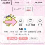 ヒメ日記 2025/11/23 14:00 投稿 みお ぽっちゃり巨乳素人専門店ぷにめろ八王子店