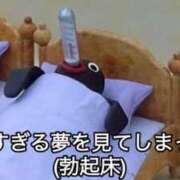 ヒメ日記 2026/01/21 09:31 投稿 みお ぽっちゃり巨乳素人専門店ぷにめろ八王子店