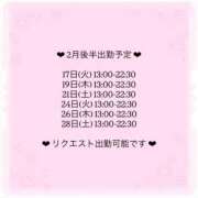 ヒメ日記 2026/02/11 16:31 投稿 みお ぽっちゃり巨乳素人専門店ぷにめろ八王子店