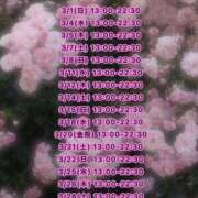 ヒメ日記 2026/02/24 22:03 投稿 みお ぽっちゃり巨乳素人専門店ぷにめろ八王子店