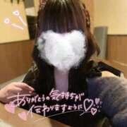 ヒメ日記 2026/04/14 15:01 投稿 みお ぽっちゃり巨乳素人専門店ぷにめろ八王子店