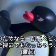 ヒメ日記 2026/05/19 19:02 投稿 みお ぽっちゃり巨乳素人専門店ぷにめろ八王子店
