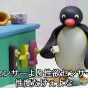ヒメ日記 2026/07/05 22:01 投稿 みお ぽっちゃり巨乳素人専門店ぷにめろ八王子店