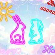 ヒメ日記 2025/11/09 06:00 投稿 のあ ぽっちゃり巨乳素人専門店ぷにめろ八王子店