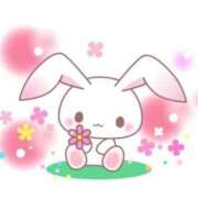 ヒメ日記 2025/12/08 21:55 投稿 のあ ぽっちゃり巨乳素人専門店ぷにめろ八王子店