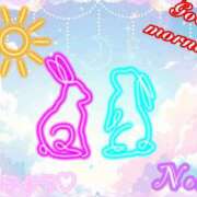 ヒメ日記 2025/12/09 13:00 投稿 のあ ぽっちゃり巨乳素人専門店ぷにめろ八王子店