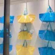 ヒメ日記 2025/12/19 22:42 投稿 のあ ぽっちゃり巨乳素人専門店ぷにめろ八王子店