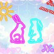 ヒメ日記 2025/12/21 11:18 投稿 のあ ぽっちゃり巨乳素人専門店ぷにめろ八王子店