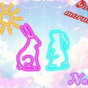 ヒメ日記 2026/01/17 10:24 投稿 のあ ぽっちゃり巨乳素人専門店ぷにめろ八王子店