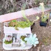 ヒメ日記 2026/01/18 09:45 投稿 のあ ぽっちゃり巨乳素人専門店ぷにめろ八王子店