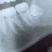 ヒメ日記 2026/02/07 09:55 投稿 のあ ぽっちゃり巨乳素人専門店ぷにめろ八王子店