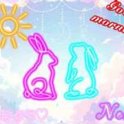 ヒメ日記 2026/02/13 16:12 投稿 のあ ぽっちゃり巨乳素人専門店ぷにめろ八王子店