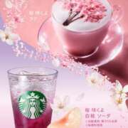 ヒメ日記 2026/02/13 16:30 投稿 のあ ぽっちゃり巨乳素人専門店ぷにめろ八王子店