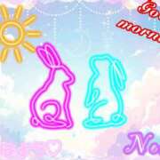 ヒメ日記 2026/02/25 07:01 投稿 のあ ぽっちゃり巨乳素人専門店ぷにめろ八王子店