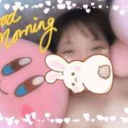 ヒメ日記 2026/02/26 07:02 投稿 のあ ぽっちゃり巨乳素人専門店ぷにめろ八王子店