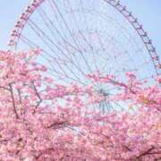 ヒメ日記 2026/03/02 16:50 投稿 のあ ぽっちゃり巨乳素人専門店ぷにめろ八王子店