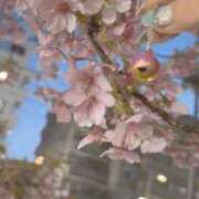 ヒメ日記 2026/03/06 23:46 投稿 のあ ぽっちゃり巨乳素人専門店ぷにめろ八王子店