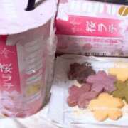 ヒメ日記 2026/03/07 22:19 投稿 のあ ぽっちゃり巨乳素人専門店ぷにめろ八王子店