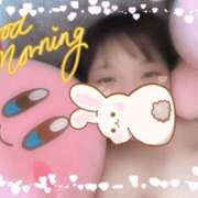 ヒメ日記 2026/03/11 12:36 投稿 のあ ぽっちゃり巨乳素人専門店ぷにめろ八王子店