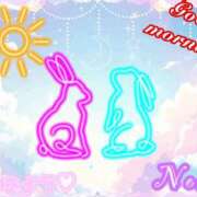 ヒメ日記 2026/03/14 12:31 投稿 のあ ぽっちゃり巨乳素人専門店ぷにめろ八王子店