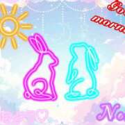 のあ 1日だけ入院してました🙇‍♀️ ぽっちゃり巨乳素人専門店ぷにめろ八王子店