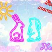 ヒメ日記 2026/03/29 10:57 投稿 のあ ぽっちゃり巨乳素人専門店ぷにめろ八王子店