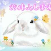 ヒメ日記 2026/08/13 12:20 投稿 のあ ぽっちゃり巨乳素人専門店ぷにめろ八王子店