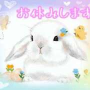 ヒメ日記 2026/08/29 17:24 投稿 のあ ぽっちゃり巨乳素人専門店ぷにめろ八王子店