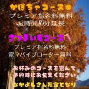 ヒメ日記 2025/11/01 17:11 投稿 みらい ぽっちゃり巨乳素人専門店ぷにめろ八王子店