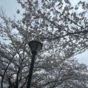 ヒメ日記 2026/04/02 22:00 投稿 みらい ぽっちゃり巨乳素人専門店ぷにめろ八王子店