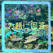 ヒメ日記 2026/09/07 12:37 投稿 みらい ぽっちゃり巨乳素人専門店ぷにめろ八王子店