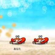 ヒメ日記 2026/07/14 23:38 投稿 るい ぽっちゃり巨乳素人専門店ぷにめろ八王子店