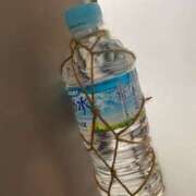 ヒメ日記 2025/11/09 11:30 投稿 すみれ ぽっちゃり巨乳素人専門店ぷにめろ八王子店