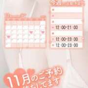 ヒメ日記 2025/11/12 21:40 投稿 すみれ ぽっちゃり巨乳素人専門店ぷにめろ八王子店