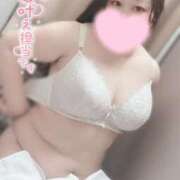 ヒメ日記 2025/11/17 14:00 投稿 すみれ ぽっちゃり巨乳素人専門店ぷにめろ八王子店