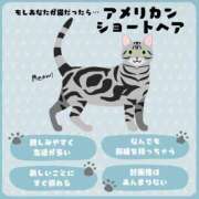 ヒメ日記 2025/12/11 15:45 投稿 すみれ ぽっちゃり巨乳素人専門店ぷにめろ八王子店